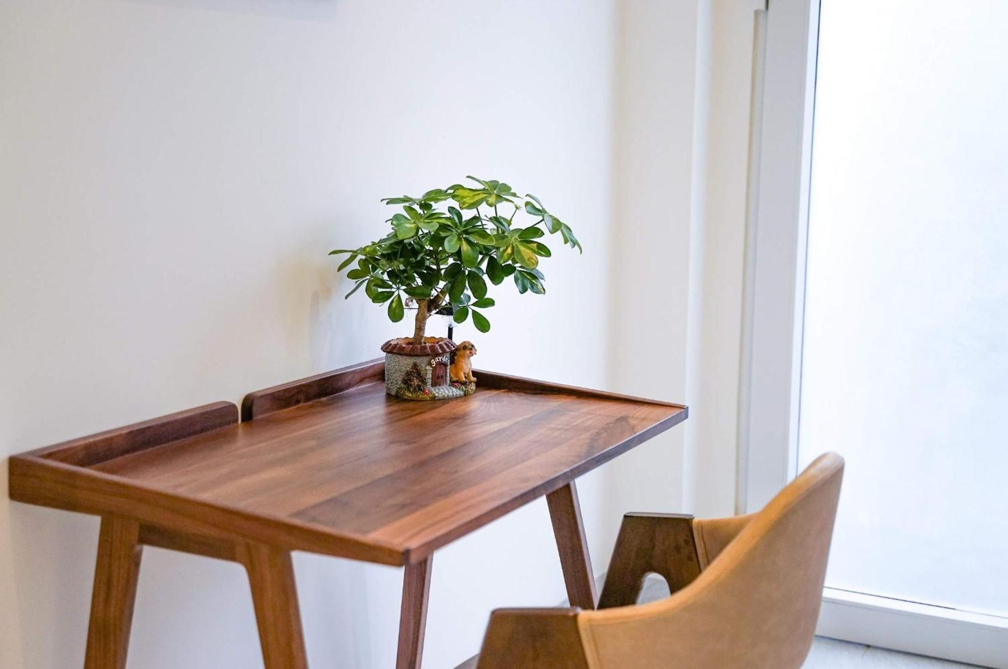 Local White House - Ecofriendly Homestay دا نانغ المظهر الخارجي الصورة