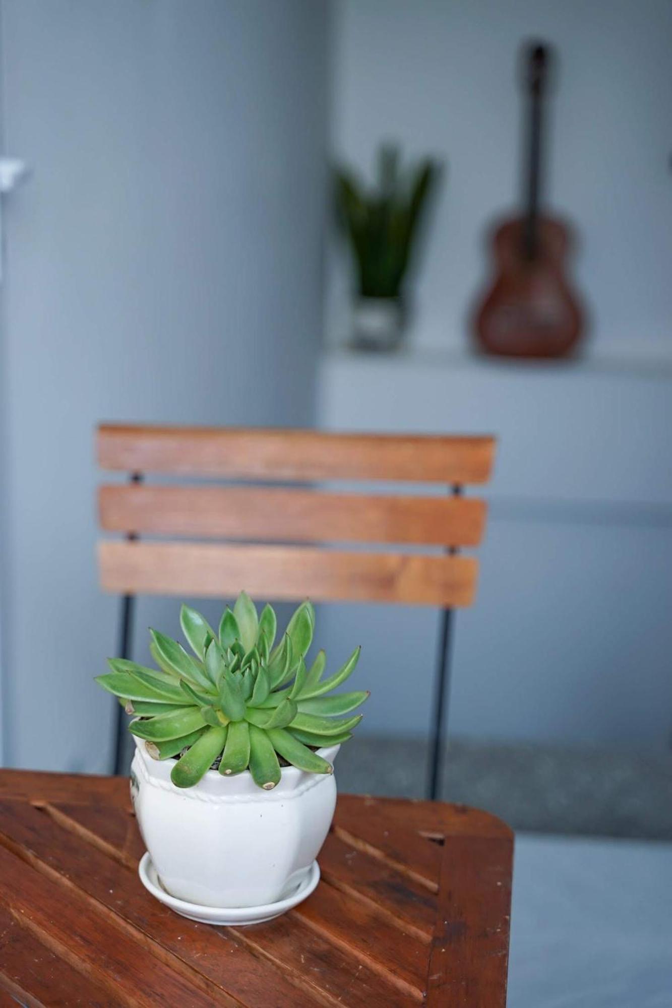Local White House - Ecofriendly Homestay دا نانغ المظهر الخارجي الصورة
