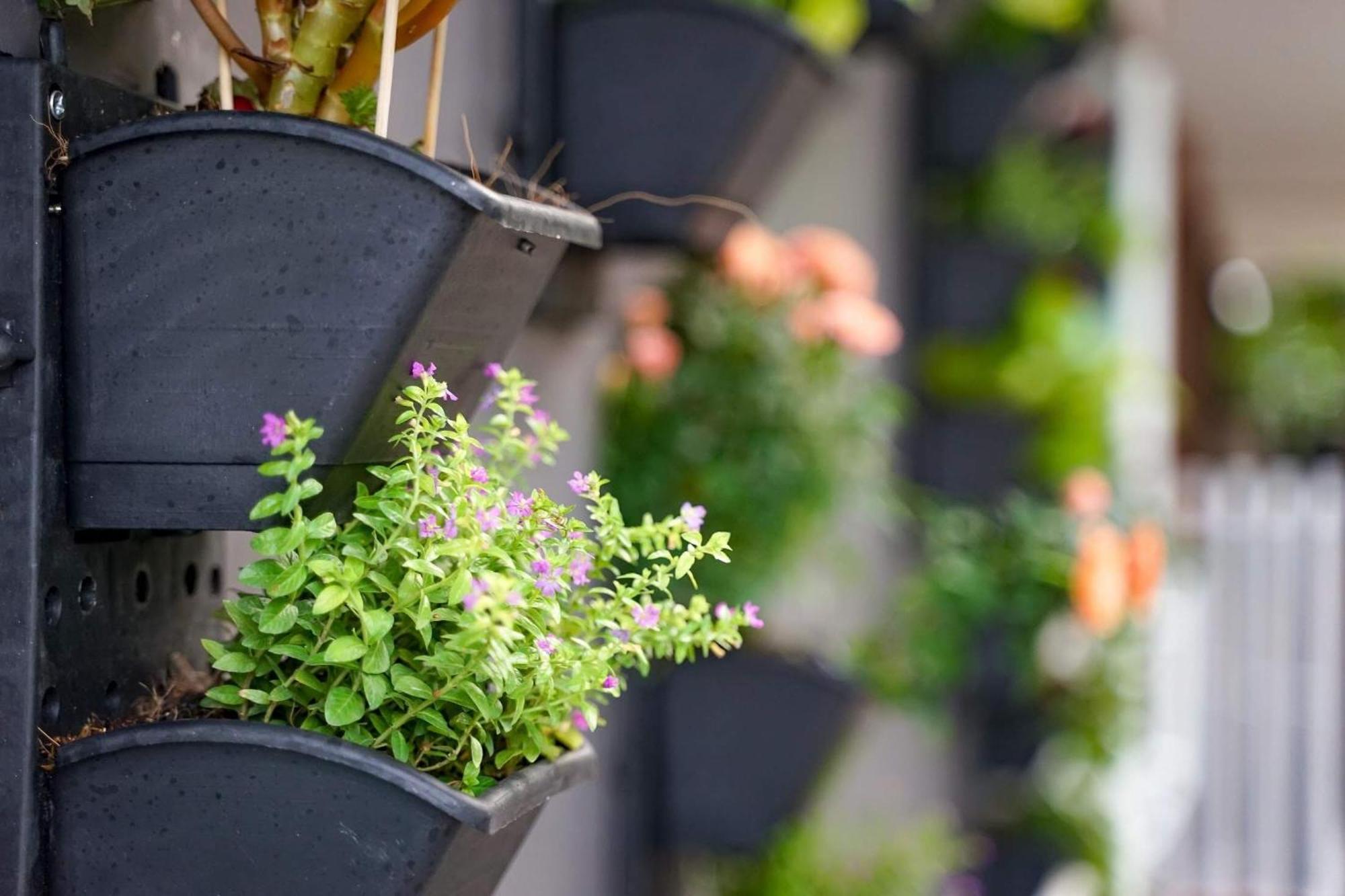 Local White House - Ecofriendly Homestay دا نانغ المظهر الخارجي الصورة