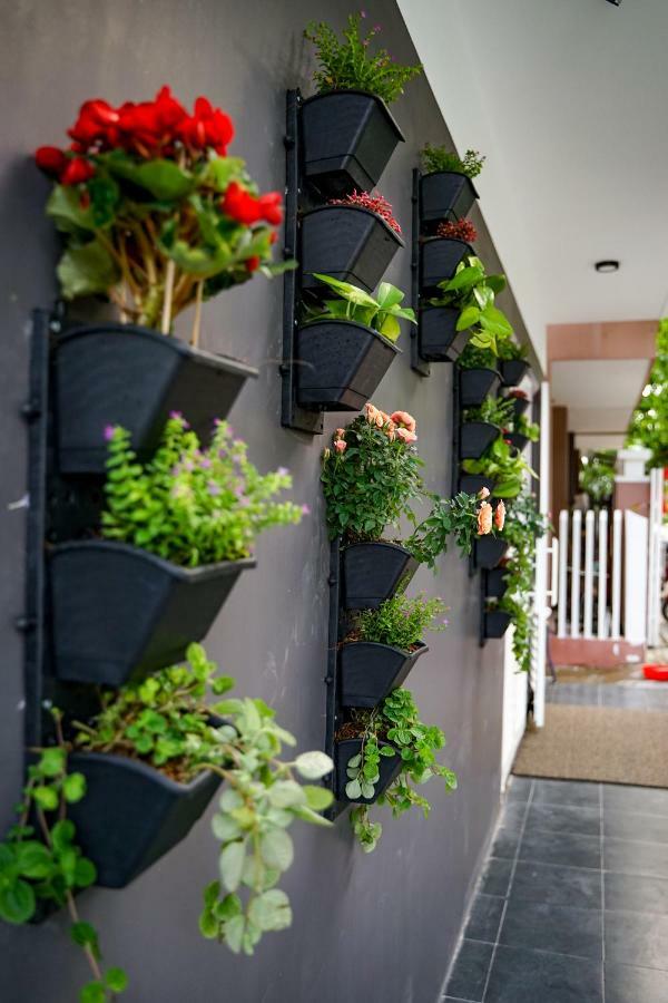 Local White House - Ecofriendly Homestay دا نانغ المظهر الخارجي الصورة